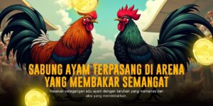 Keunggulan SV388 sebagai Platform Sabung Ayam Online Terpercaya