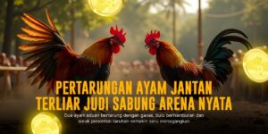 Mengupas Tuntas Keunggulan Ayam Bangkok di Sabung Ayam SV388