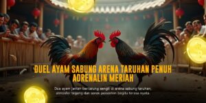 Rahasia Sabung Ayam Bangkok yang Bikin Ketagihan