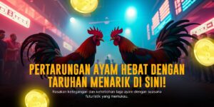 Odds Sabung Ayam di Platform SV388: Rahasia Menang Taruhan